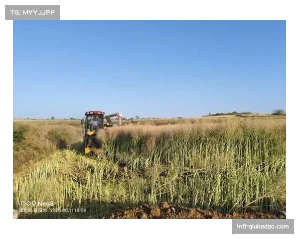 襄城赛吸引台湾等地车队,尹集乡木桥村原生赛道受瞩目 襄城赛吸引台湾等地车队,尹集乡木桥村原生赛道受瞩目