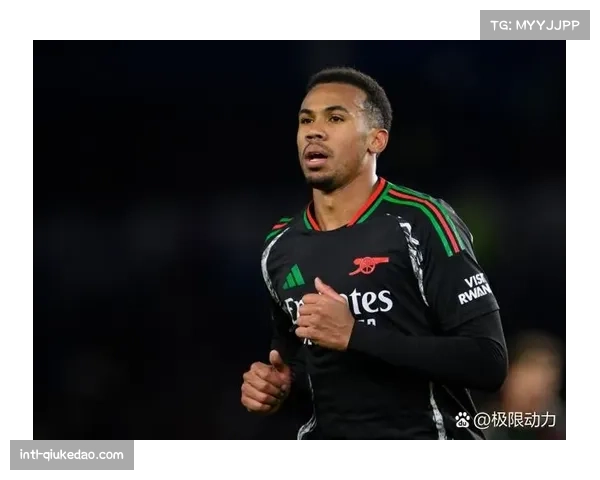 布莱顿前锋弗格森禁区倒地,裁判未表示引客场球迷不满 布莱顿前锋弗格森禁区倒地,裁判未表示引客场球迷不满