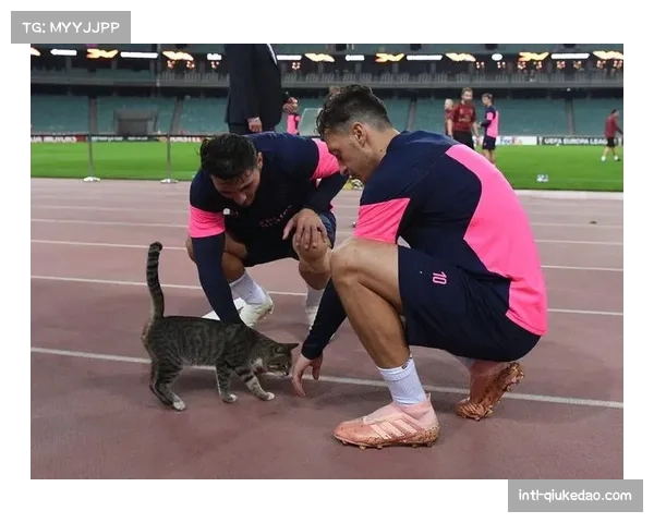 场边花絮:大雪导致航班延误,多特蒙德队赛前仅有一次踩场训练 场边花絮:大雪导致航班延误,多特蒙德队赛前仅有一次踩场训练